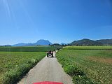 Rossfeld (34)